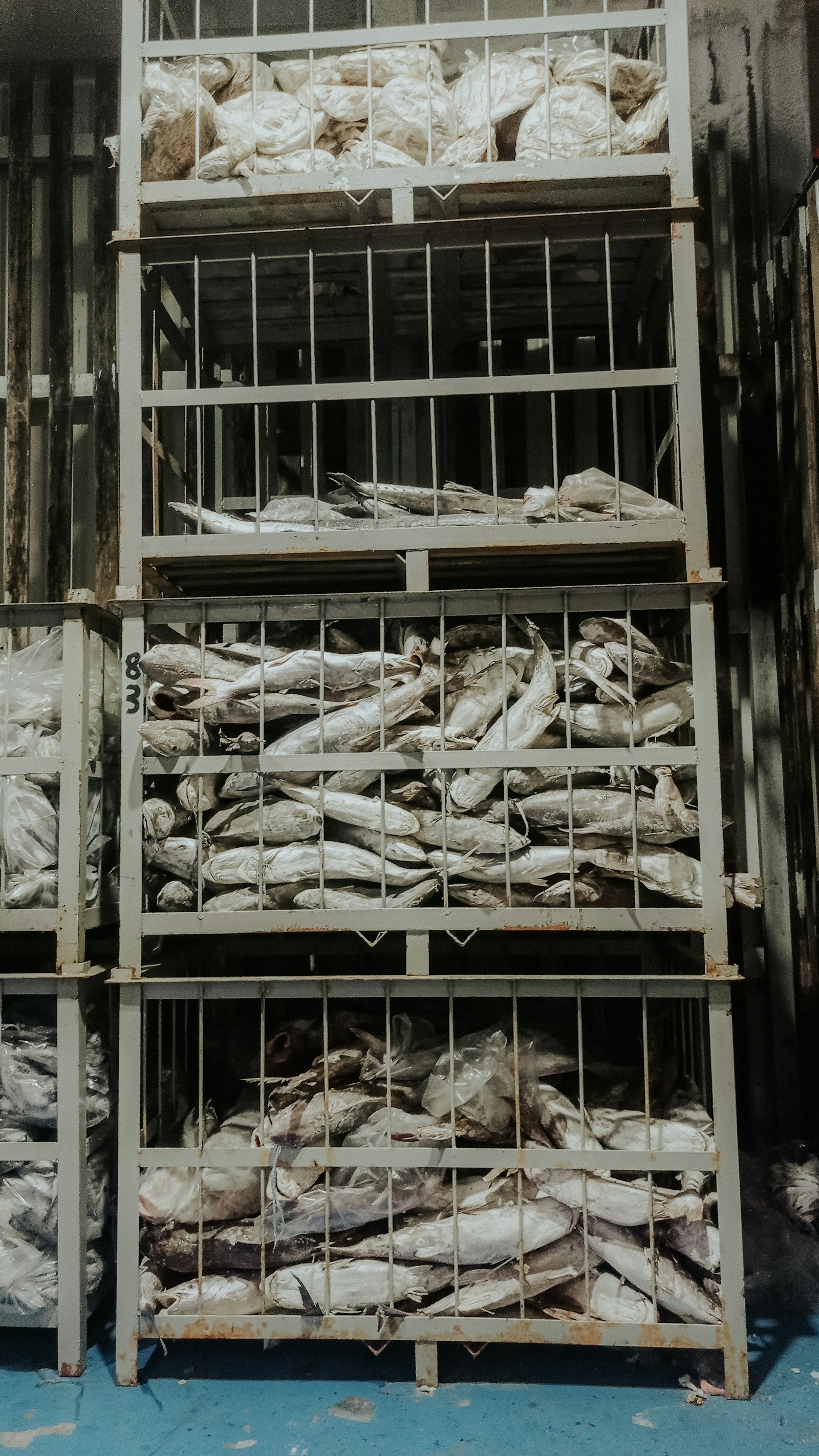 Cold storage facility